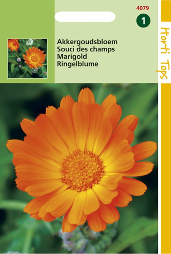 Field Marigold (Calendula arvensis) 200 seeds